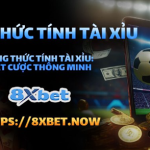 Bí Quyết Tối Ưu Hóa Lợi Nhuận Với Công Thức Tính Tài Xỉu