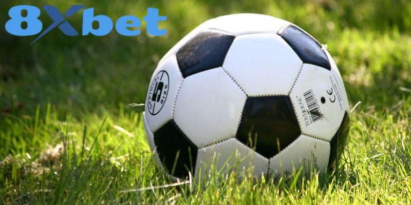 Vài lưu ý quan trọng ở cách chơi cược xiên